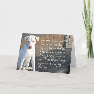 Carte de citation de chien
