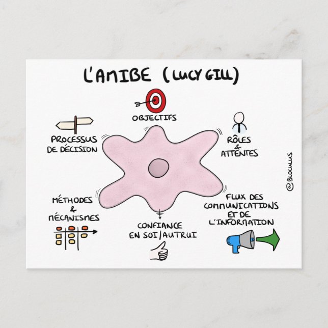 Carte de coaching : L'amibe de Lucy Gill (Devant)