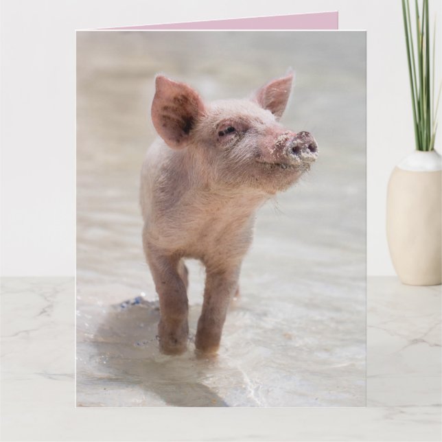 CARTE DE COCHON DE LAIT D'AMOUR (Devant)