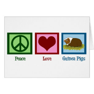 Carte de cochons d'Inde mignons pour la paix et l'
