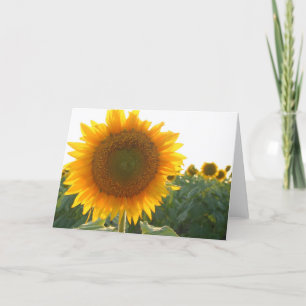Carte de coeur de tournesol (blanc)