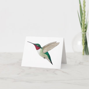 Carte de colibri à gorge rubis