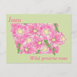 Carte de collage des fleurs de l'État de l'Iowa