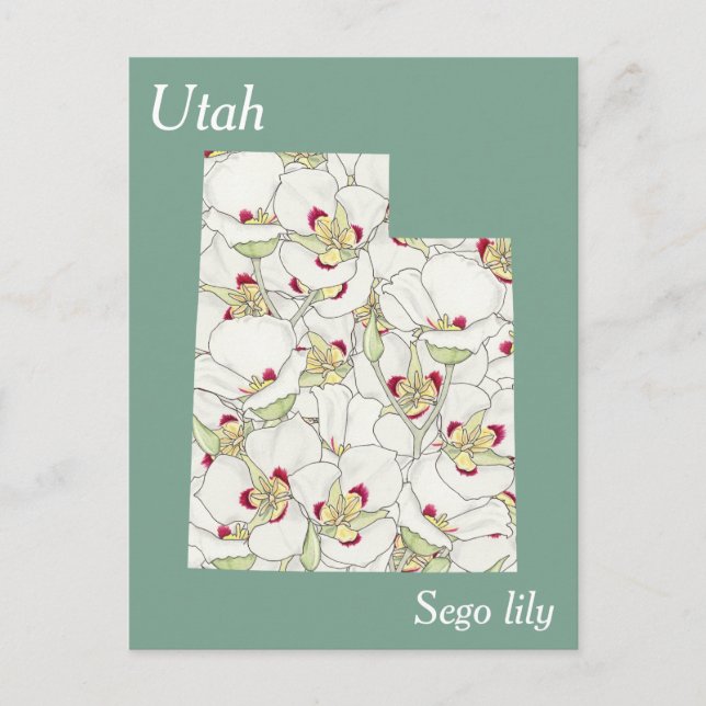 Carte de collage des fleurs de l'État de l'Utah (Devant)
