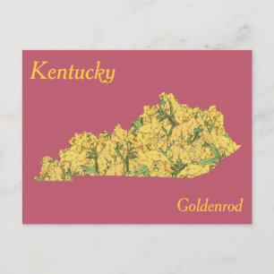 Carte de collage des fleurs de l'État du Kentucky