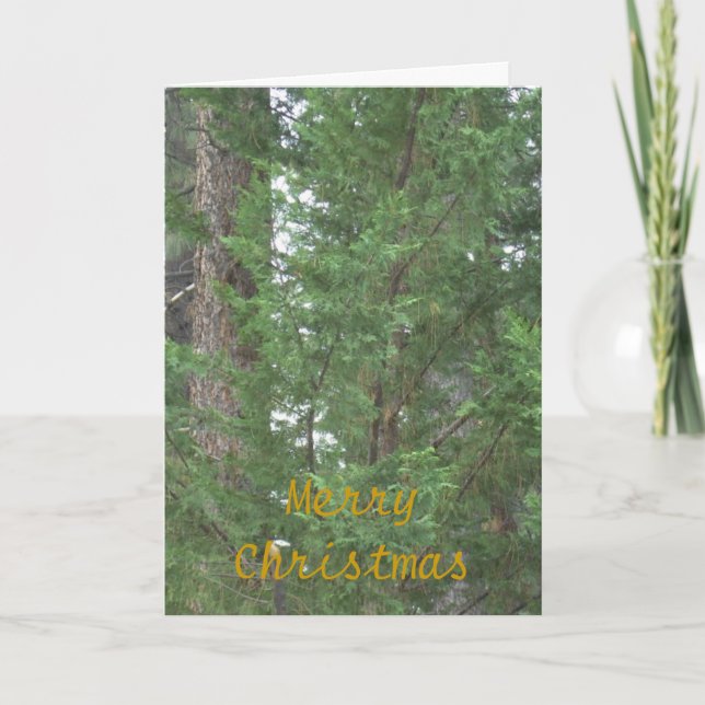 Carte de collection de Noël du lac Tahoe (Devant)