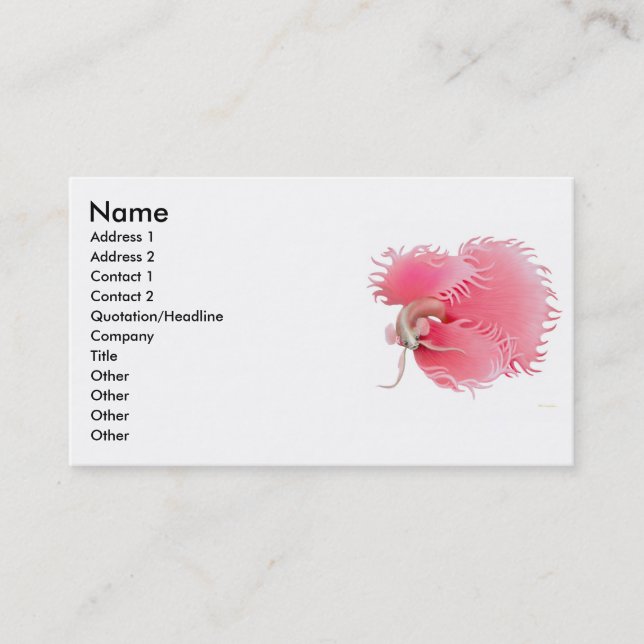 Carte de combat siamoise de profil de poissons de (Devant)
