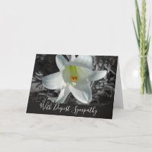 Carte de condoléances avec lys de Pâques blanc