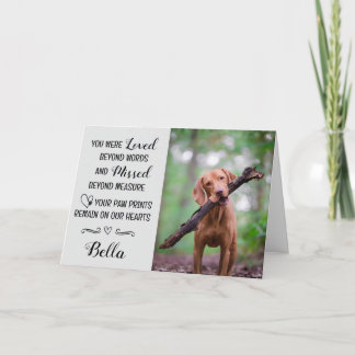 Carte de condoléances pour perte d'animal de compa