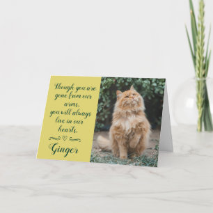 Carte de condoléances pour perte de chat personnal
