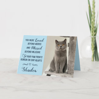 Carte de condoléances pour perte de chat personnal