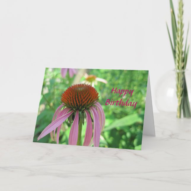 Carte de Coneflower (Devant)