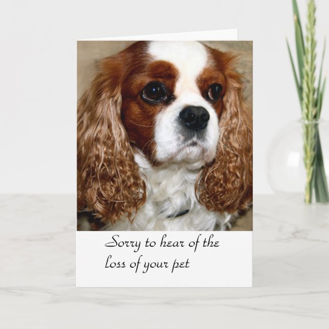 Carte de conformité de chien (Devant)