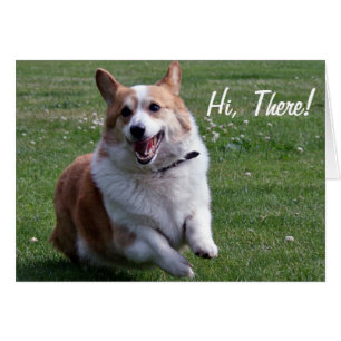 Carte de corgi