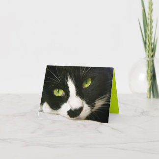 Carte de correspondance