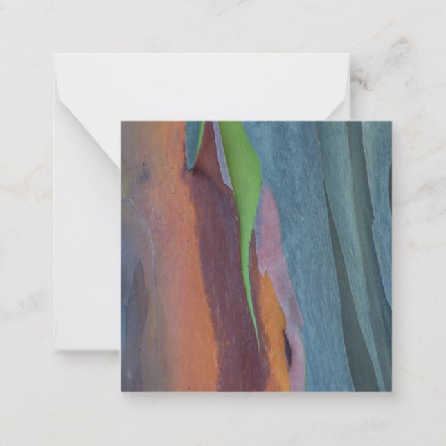 Carte De Correspondance Abstract de Rainbow Gum Tree (Devant)