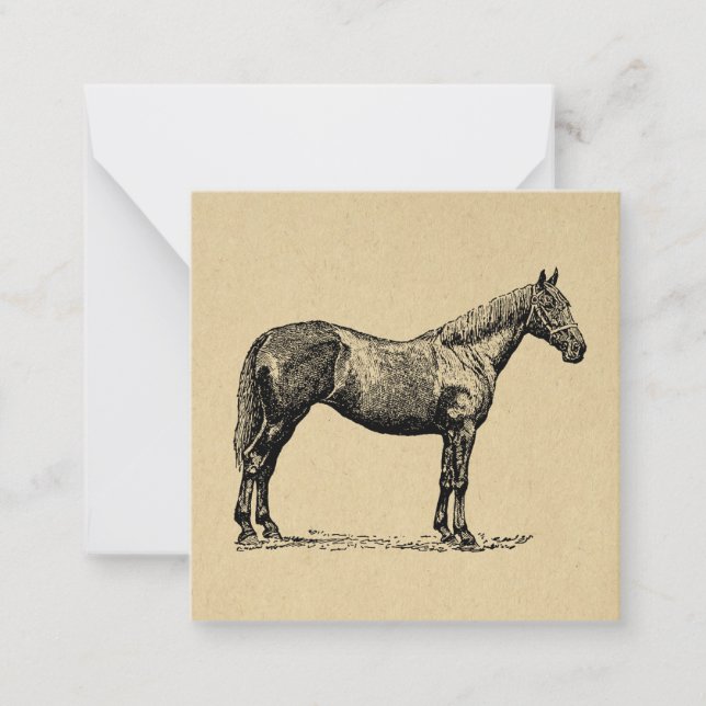 Carte De Correspondance Art Cheval vintage Illustré Art équestre (Devant)