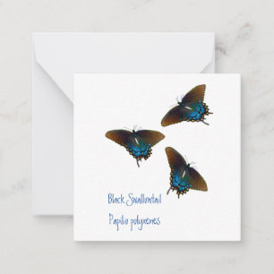 Carte De Correspondance Art papillon noir Swallowtail