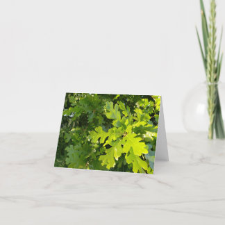 carte de correspondance aux feuilles de chêne vert