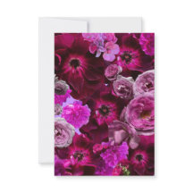 Beautiful Purple Rose Collage