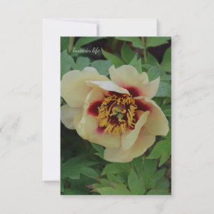 Carte De Correspondance Belle Pierre Jaune À La Crème