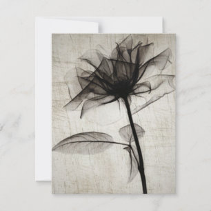 Carte De Correspondance Big Vintage X-Ray