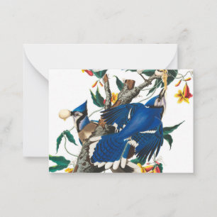 Carte De Correspondance Blue Jay par John James Audubon