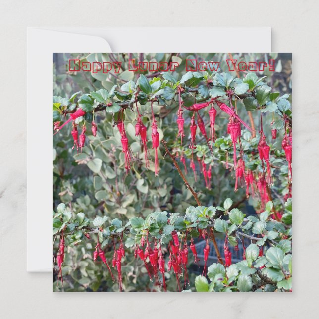 Carte De Correspondance Bonne année lunaire (Devant)