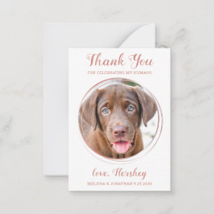 Carte De Correspondance Budget Pet Photo Chien Mariage Rose Gold Merci