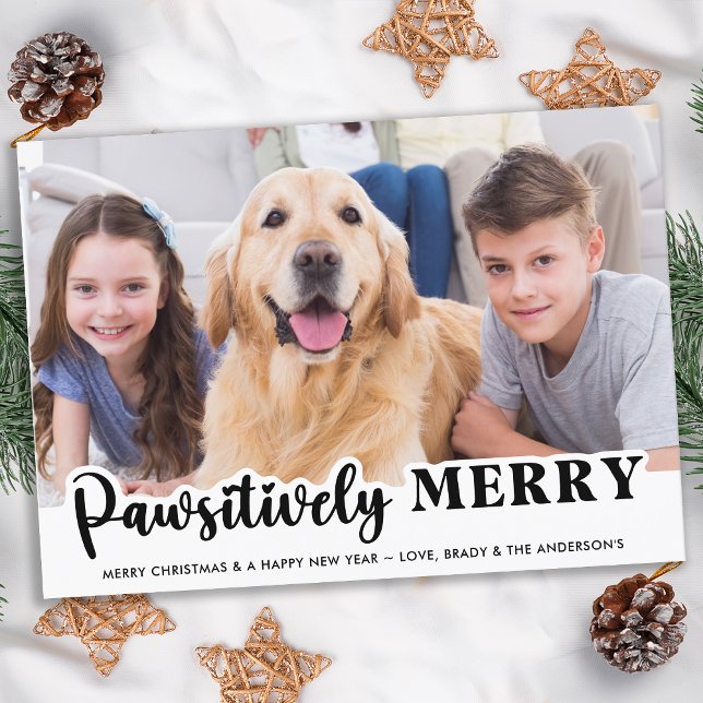 Carte De Correspondance Budget Pet Photo Year in Review Cute Dog Holiday (Créateur téléchargé)