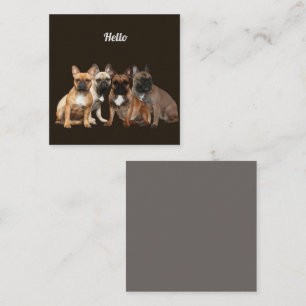 Carte De Correspondance Bulldogen Hello