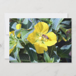 Carte De Correspondance Busy Bee