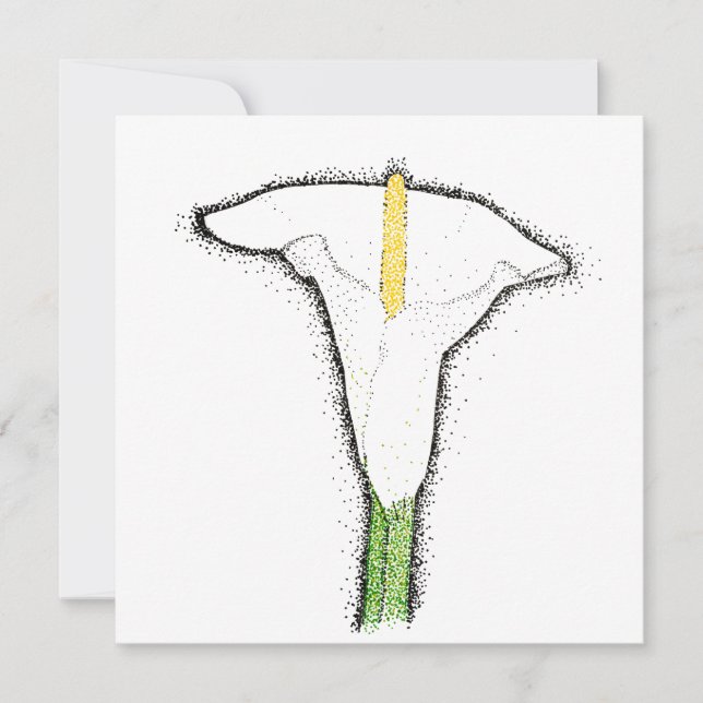 Carte De Correspondance Calla Lily (Devant)