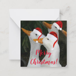 Carte De Correspondance Canards blancs portant des chapeaux rouges Noël