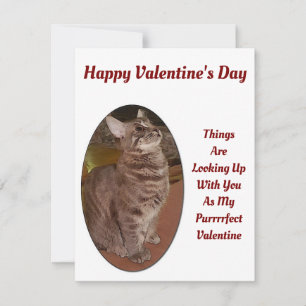 Carte De Correspondance Cat Recherche D'Image Numérique Citation Valentine