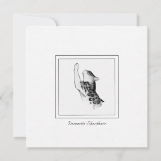 Carte De Correspondance Chalk de chat moderne et croquis noir et blanc