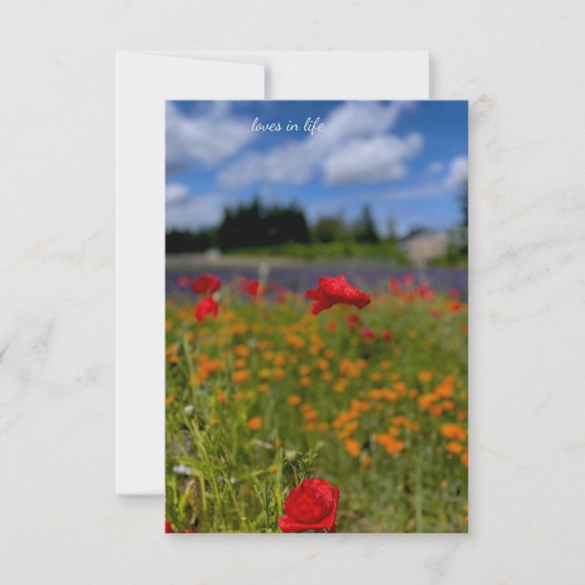 Carte De Correspondance Champ Poppy & Lavender (Devant)
