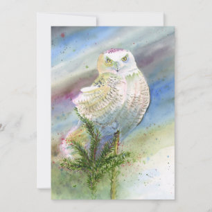 Carte de correspondance: Chouette des neiges