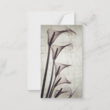 Cinq Fleurs Vintages à rayons X