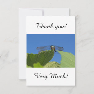 Carte De Correspondance Closeuse d'une libellule contre un ciel bleu vif
