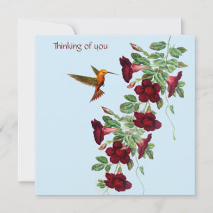 Carte De Correspondance Colibri et Fleurs Rouges