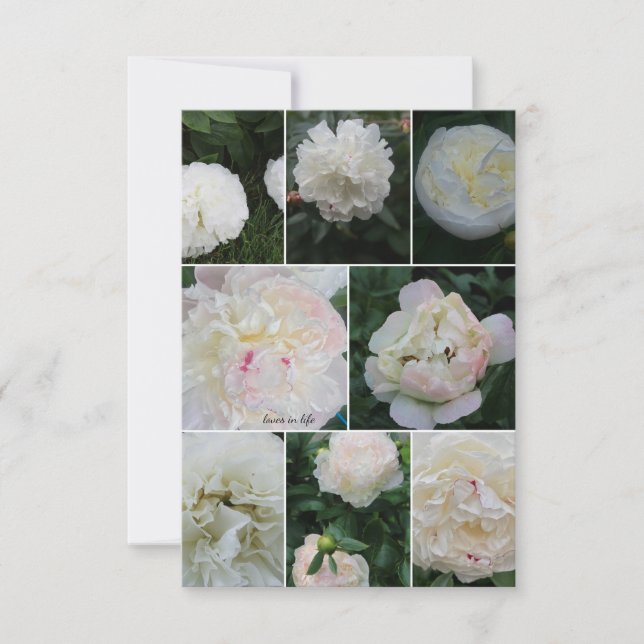 Carte De Correspondance Collage blanc de pivoine (Devant)