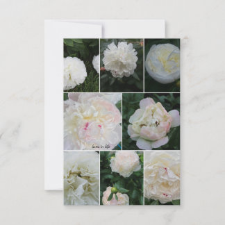 Carte De Correspondance Collage blanc de pivoine