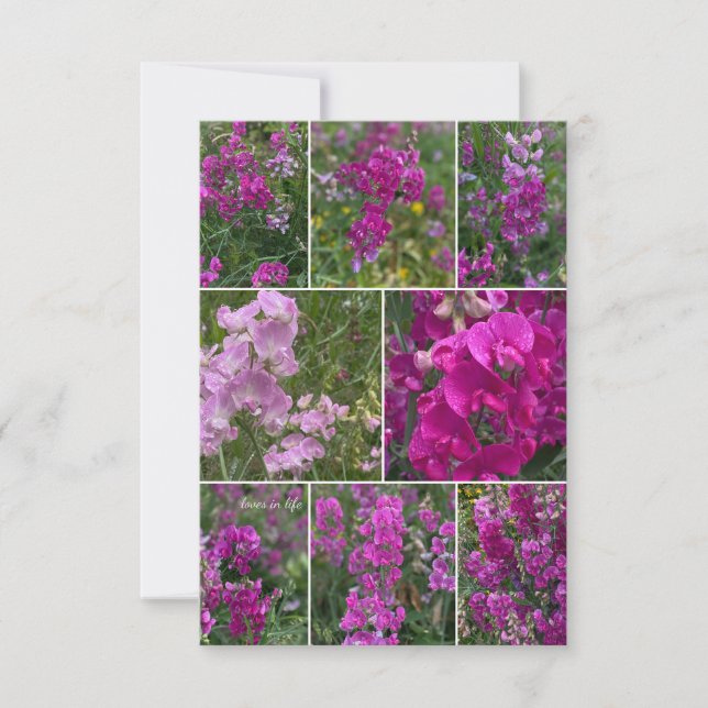 Carte De Correspondance Collage de pois rose sauvage (Devant)