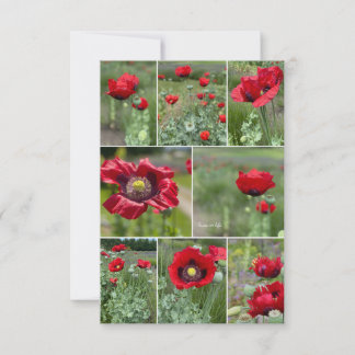 Carte De Correspondance Collage Red Poppy