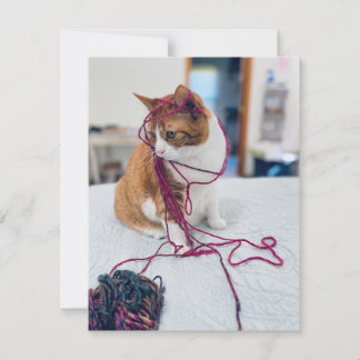 Carte De Correspondance Cozy Orange Tabby Note Cards for Cat Lovers