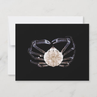 Carte De Correspondance Crabe à rayons X