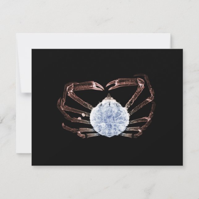 Carte De Correspondance Crabe à rayons X (Devant)