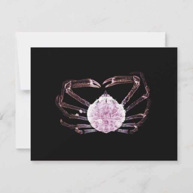 Carte De Correspondance Crabe à rayons X (Devant)