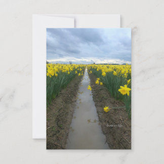 Carte De Correspondance Daffodiques du jour nuageux